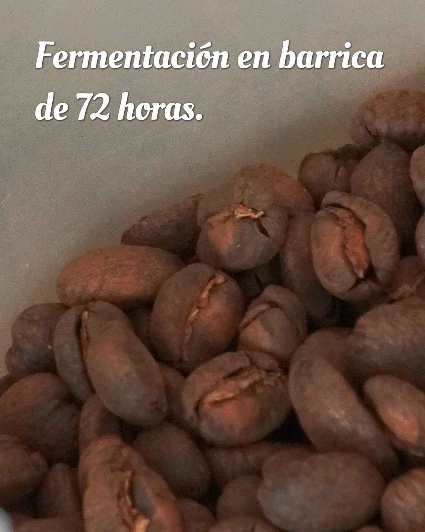 Café de Especialidad Fermentado en Barriles de Ron durante 72 Horas - Variedad Typica de Loja, Ecuador