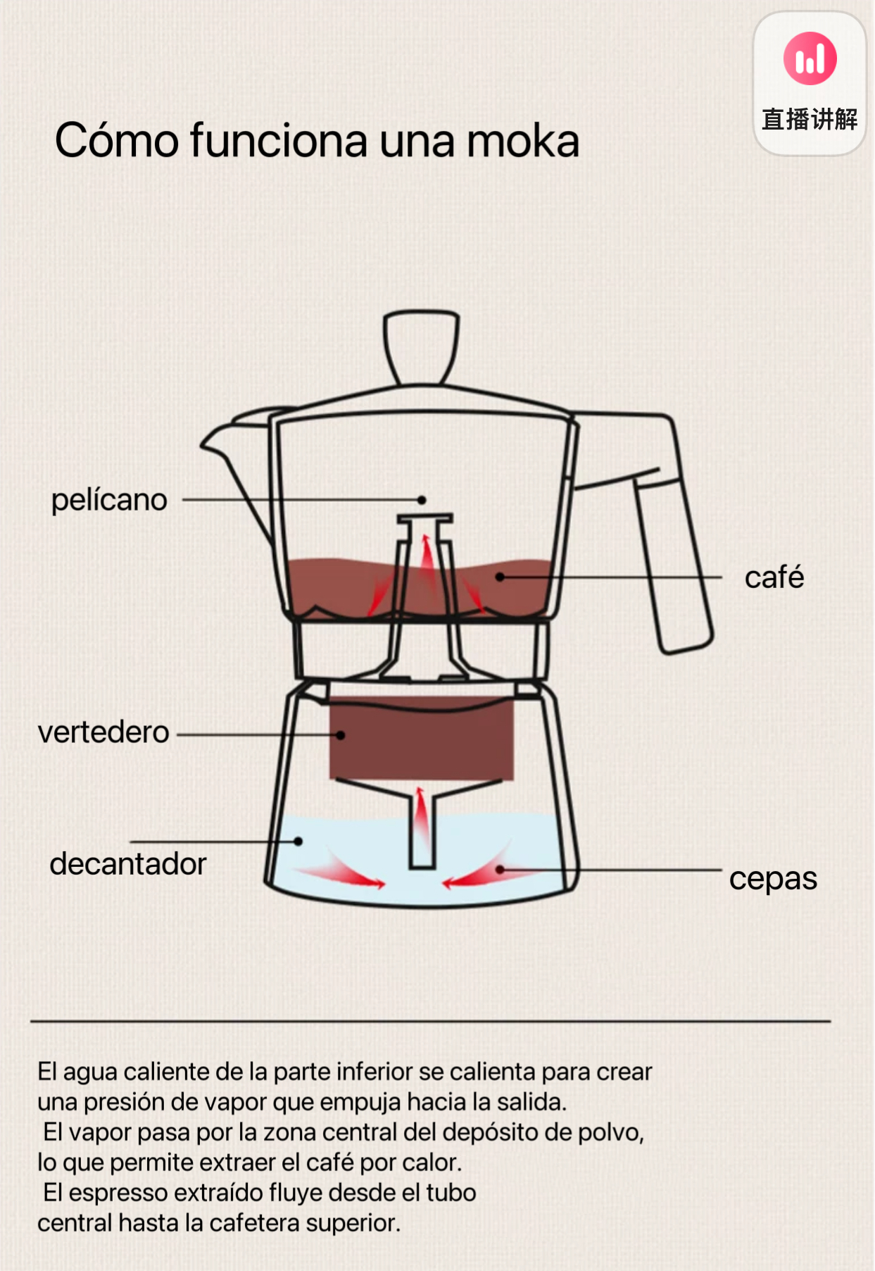 Cafetera Moka