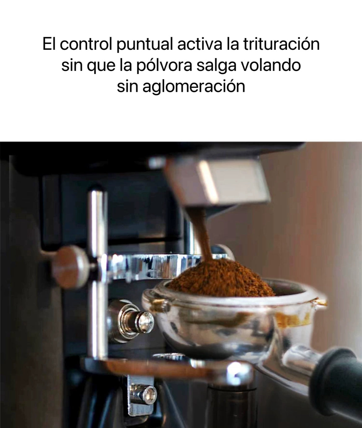 Molinillo de Café Eléctrico Comercial S70