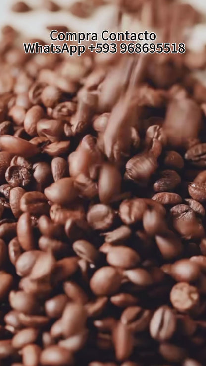 Cafetera Moka